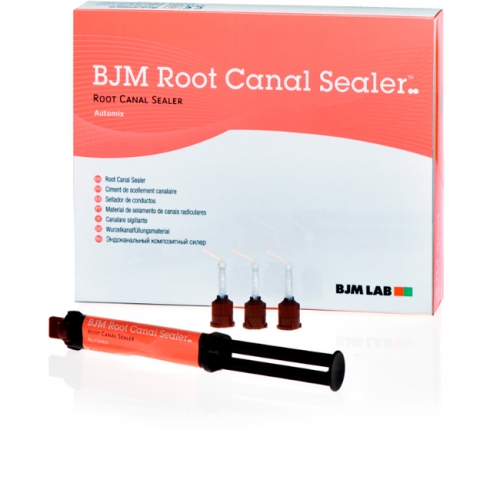 Root Canal Sealer-Антибактер.двухкомпонентный силер, на основе эпоксидной смолы 5мл Израиль